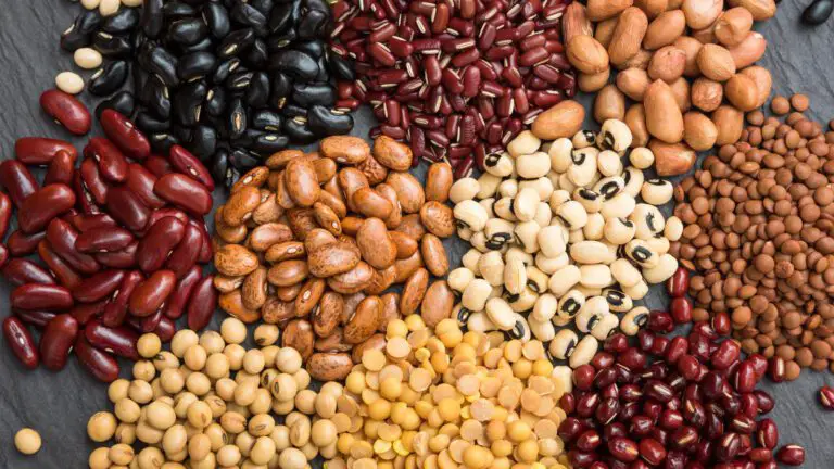 Is There Any Difference Nutrition-Wise between Black Beans And Pinto Beans?