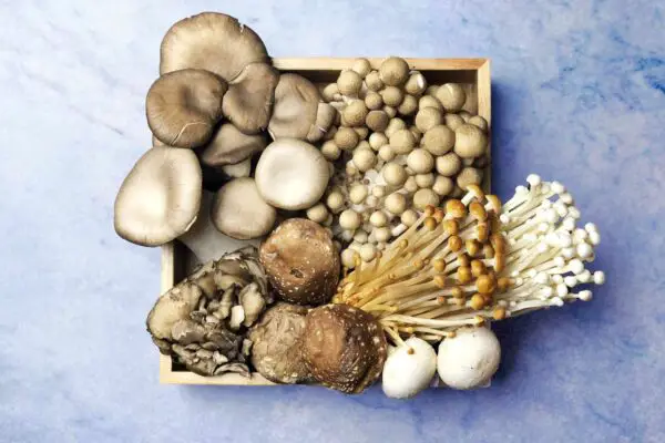 Baby Bella Mushroom Nutrition