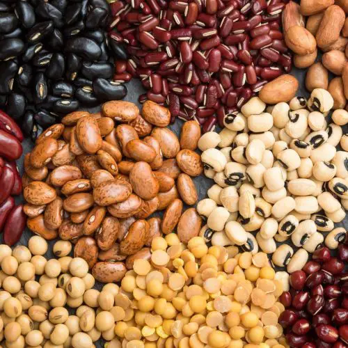 Black Beans vs. Pinto Beans: A Nutritional Showdown!